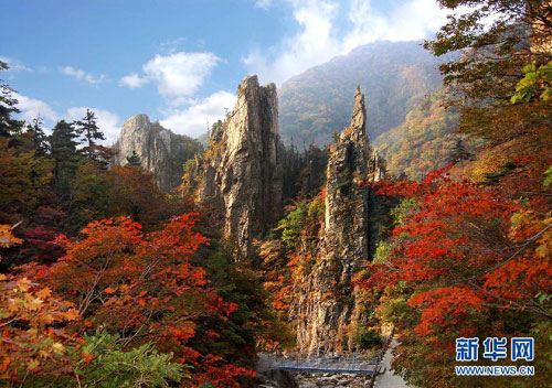 朝鮮、金剛山観光再開へ - 中国国際放送局