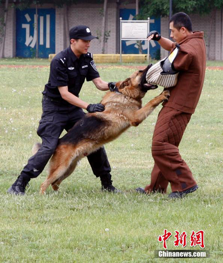 北京警察の警察犬训练基地 - 中国国际放送局