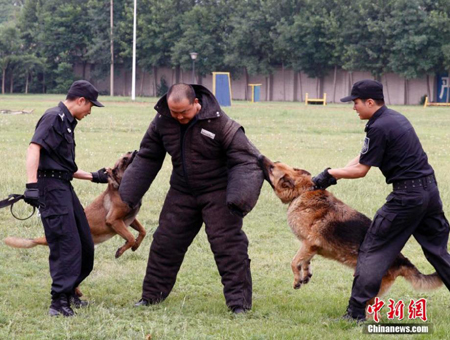 北京警察の警察犬训练基地 - 中国国际放送局