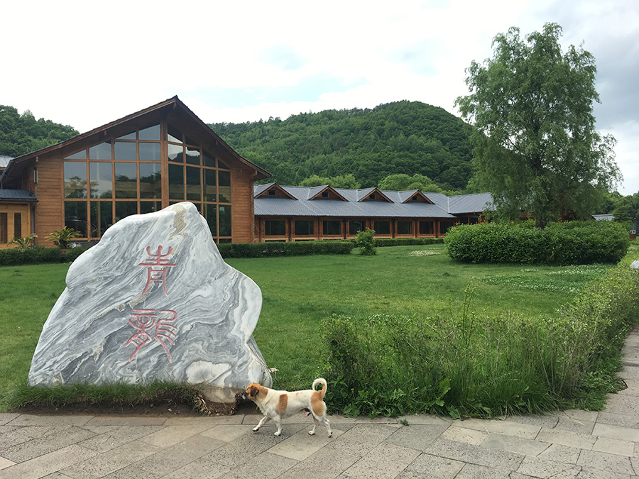 吉林省延辺朝鮮族自治州和龍市その② 中国国際放送局